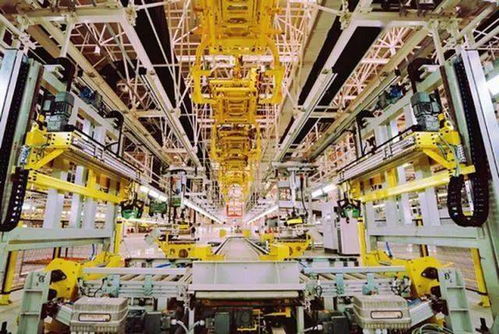 數碼攝影服務新風向 地市市場迎來新機遇